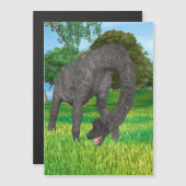 Dinosaur Brachiosaurus (Front/Back)