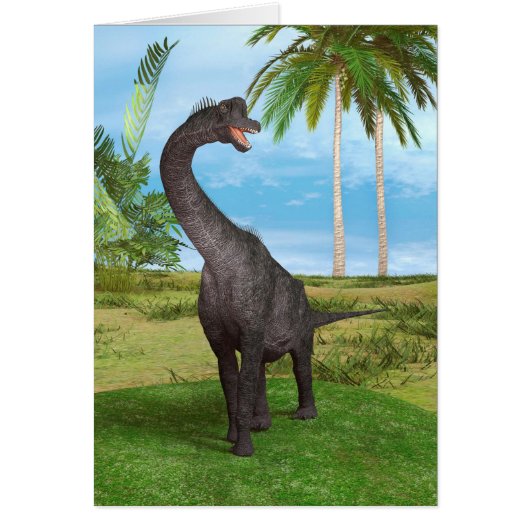 Dinosaur Brachiosaurus Cards (Front)