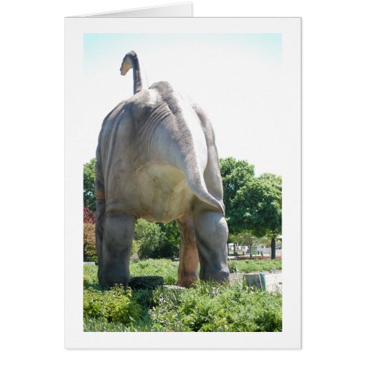 Dinosaur Brontosaurus Cards (Front)