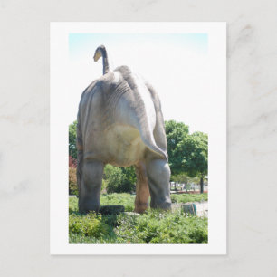 Dinosaur Brontosaurus Postcard