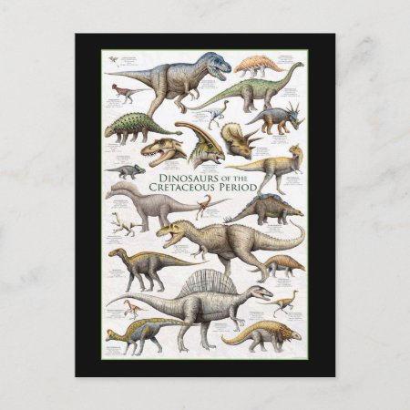 Dinosaur Chart Background  Postcard