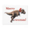 Dinosaur Christmas Postcard