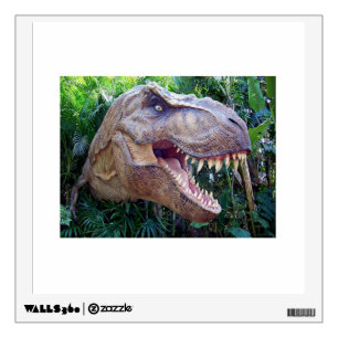 Dinosaur decal for boys room