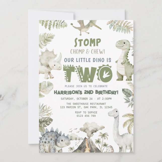 Dinosaur Dino Birthday Party Invitation (Front)