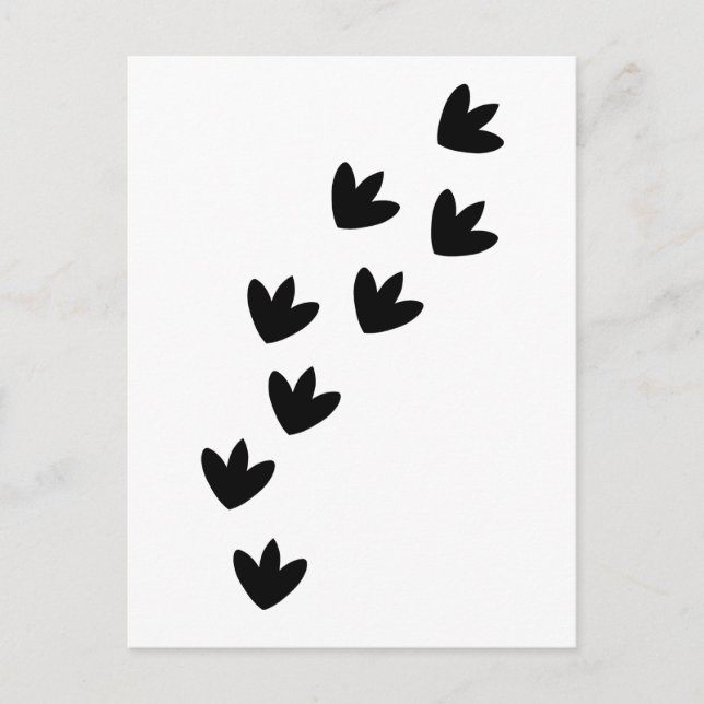 Dinosaur Footprints Postcard (Front)