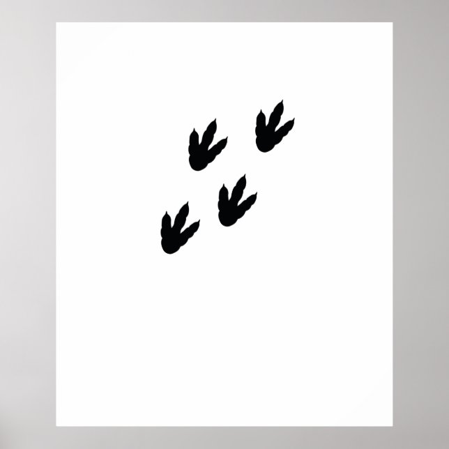 dinosaur footprints poster (Front)