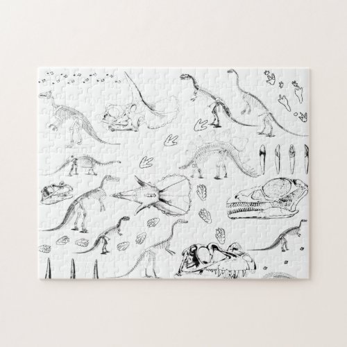 Dinosaur Fossil Bones Pattern Jigsaw Puzzle