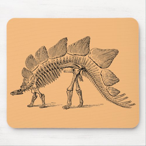 dinosaur fossil paleontology mouse pad