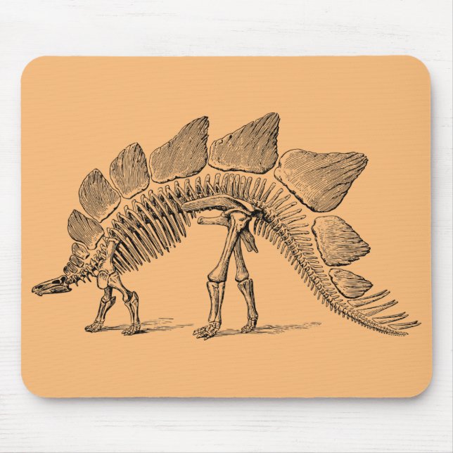 dinosaur fossil paleontology mouse pad (Front)