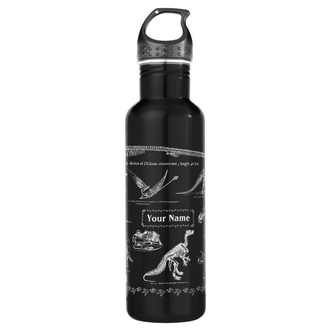Dinosaur Fossils Custom Name (White) Stainless Steel Water Bottle (Front)