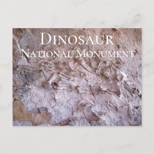 Dinosaur Fossils Dinosaur National Monument Quarry Postcard