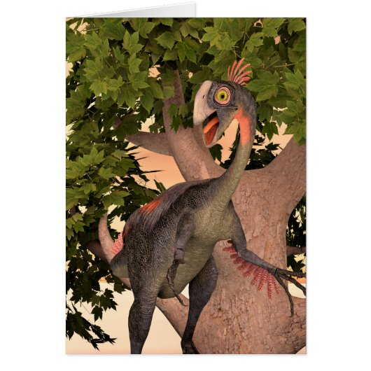 Dinosaur Gigantoraptor Cards (Front)
