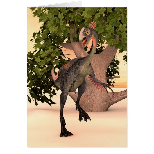 Dinosaur Gigantoraptor Cards (Front)