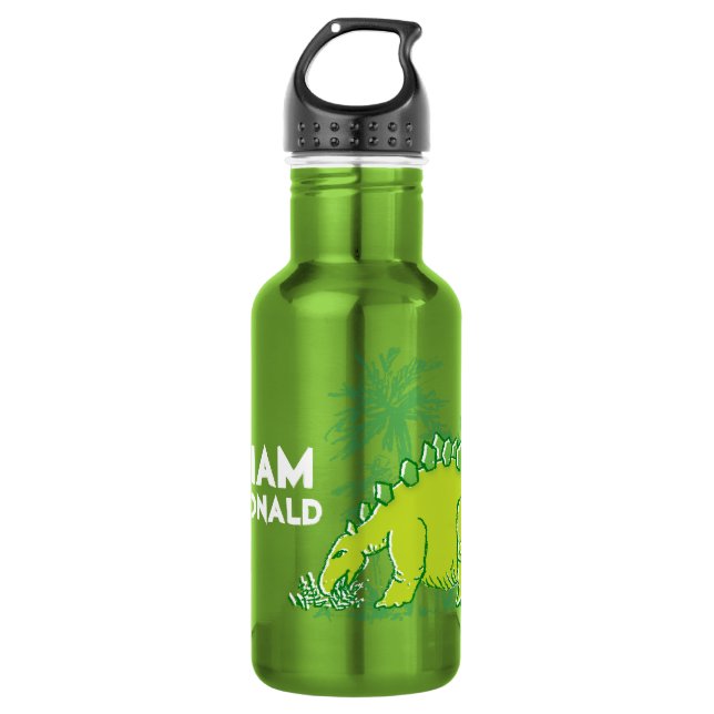 Dinosaur green Stegosaurus boys name drinks bottle (Front)