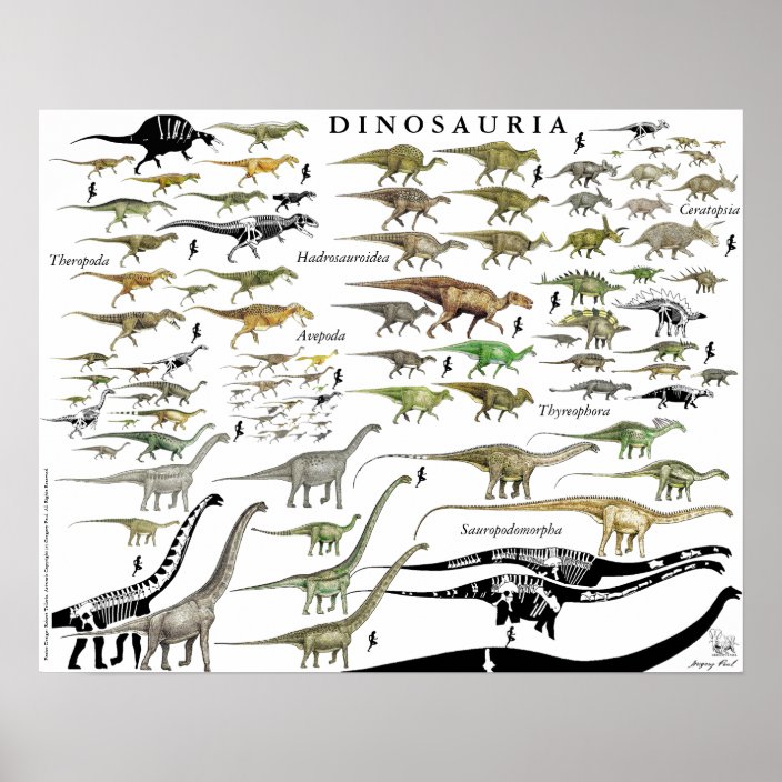 Dinosaur Groups Scale Poster Chart Gregory Paul #1 | Zazzle.com