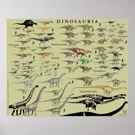 Dinosaur Groups Scale Poster Chart Gregory Paul #2 | Zazzle.com