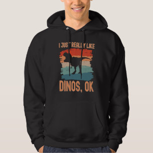 Dinosaur I just Really Like Dinos Ok Hoodie