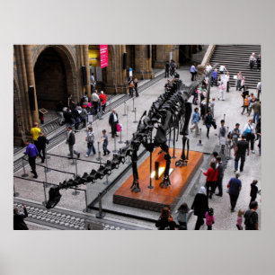 Dinosaur in the Natural History museum Poster