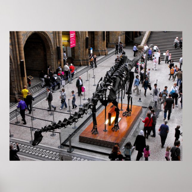 Dinosaur in the Natural History museum Poster (Front)