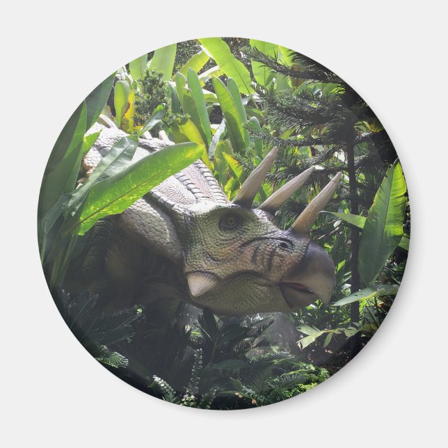 Dinosaur in the wild magnet (Front)