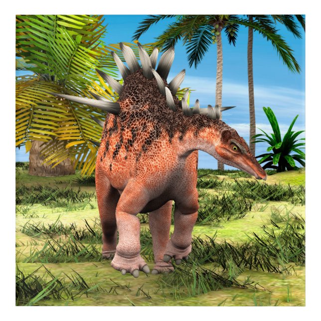 Dinosaur Kentrosaurus Acrylic Print (Front)