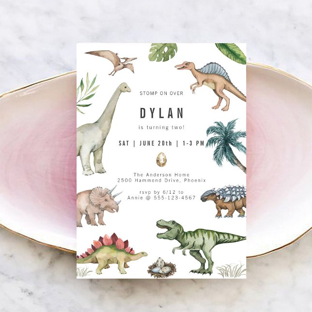 Dinosaur Kids Birthday Party Invitation (Creator Uploaded)