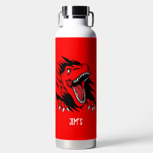 Dinosaur kids water bottle