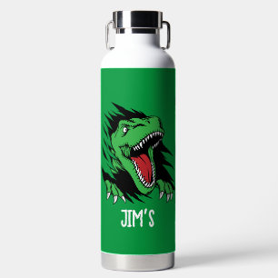 Dinosaur kids water bottle