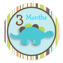 Dinosaur Lil DIno Boy Monthly Milestone Stickers