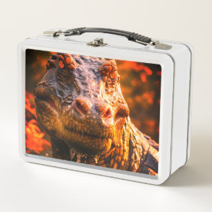 Dinosaur Metal Lunch Box