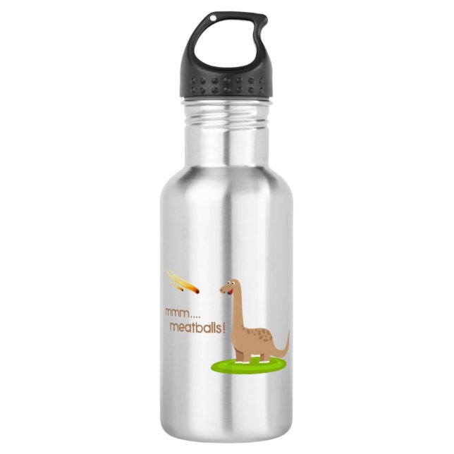 Dinosaur Meteor Meatballs Stainless Steel Water Bottle (Front)