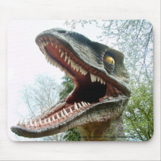 Dinosaur Mousemat Mouse Pad