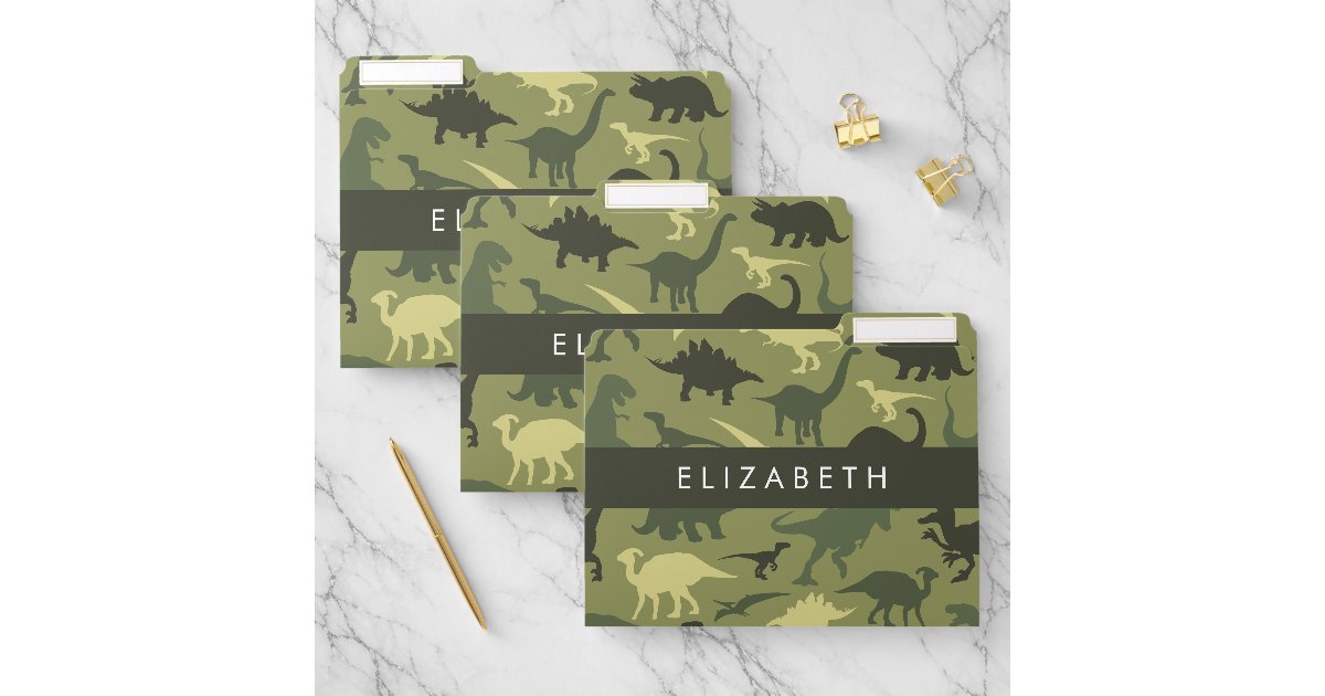 Dinosaur Pattern, Dinosaur Silhouette, Your Name File Folder | Zazzle
