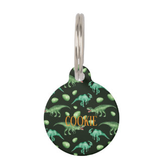 Dinosaur Pet ID Tag
