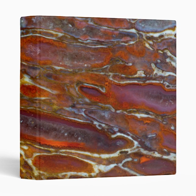 Dinosaur Petrified Bone 3 Ring Binder (Front/Spine)