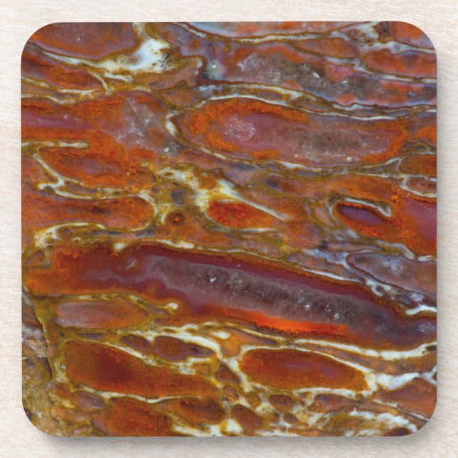 Dinosaur Petrified Bone Beverage Coaster (Front)