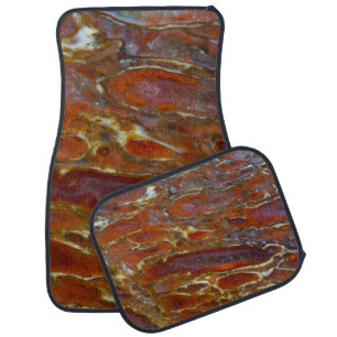 Dinosaur Petrified Bone Car Floor Mat
