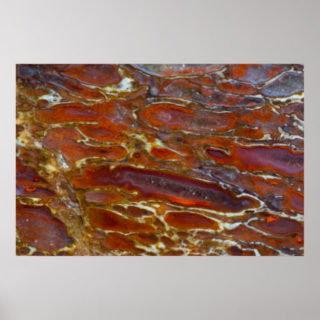 Dinosaur Petrified Bone Poster (Front)