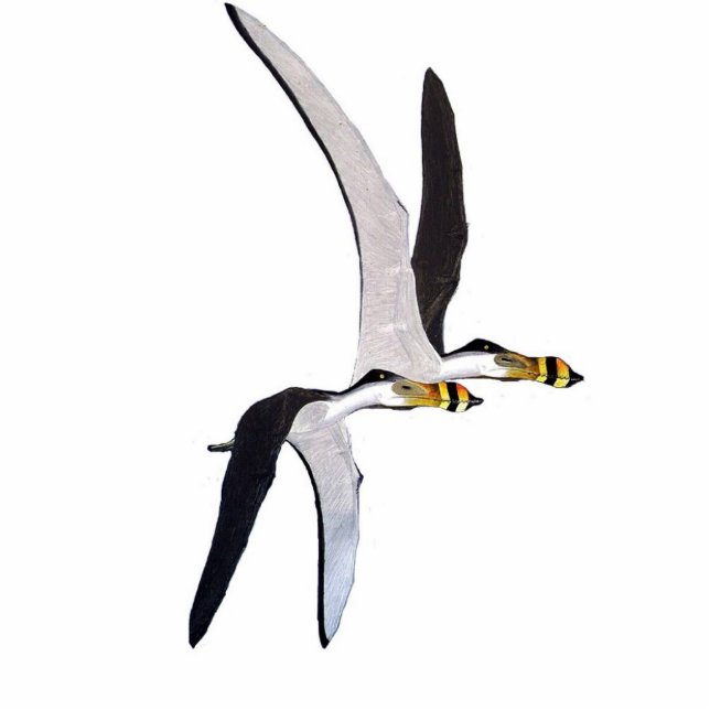 Dinosaur Photo Sculpture Anhanguera Gregory Paul (Front)