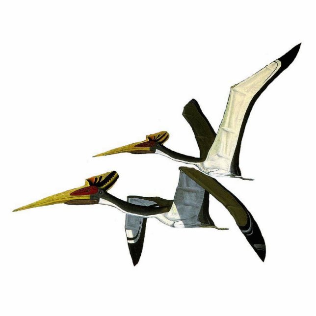 Dinosaur Photo Sculpture Pterosaurs Gregory Paul (Front)