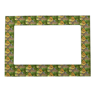 Dinosaur Picture Frame