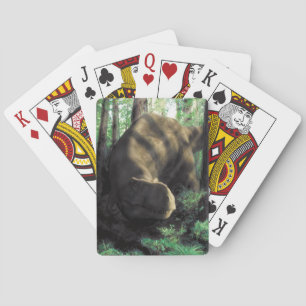 Dinosaur playing cards