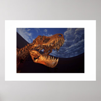 Dinosaur Poster