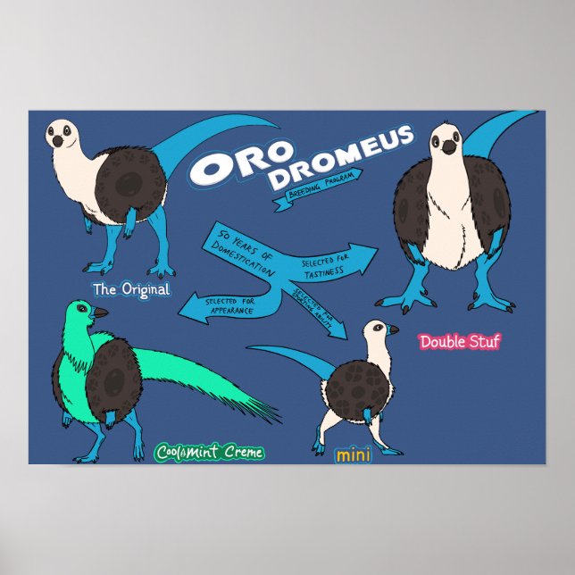 Dinosaur poster - Orodromeus (Front)