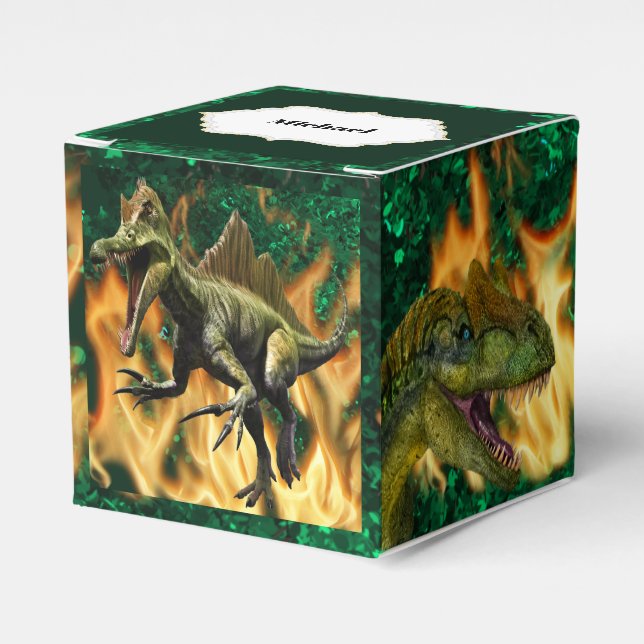 Dinosaur prehistoric jungle fire flames boys name favor boxes (Front Side)