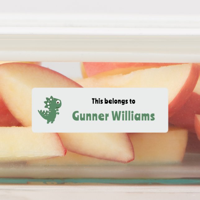 Dinosaur School Name Labels (Affixed)