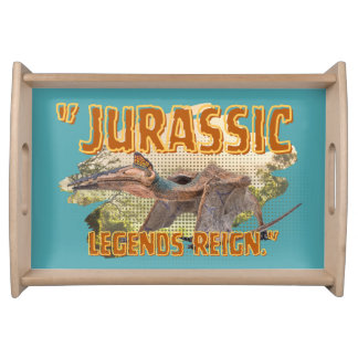 dinosaur serving tray