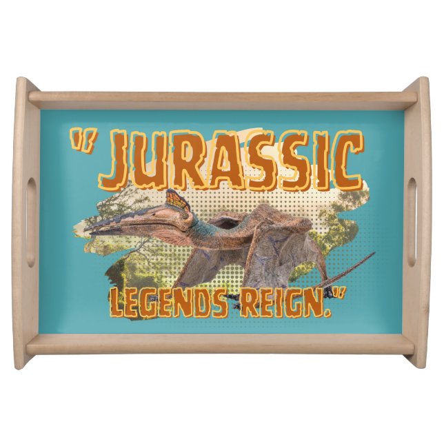 dinosaur serving tray (Front)