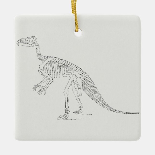 Dinosaur Skeleton Art Ceramic Ornament (Front)
