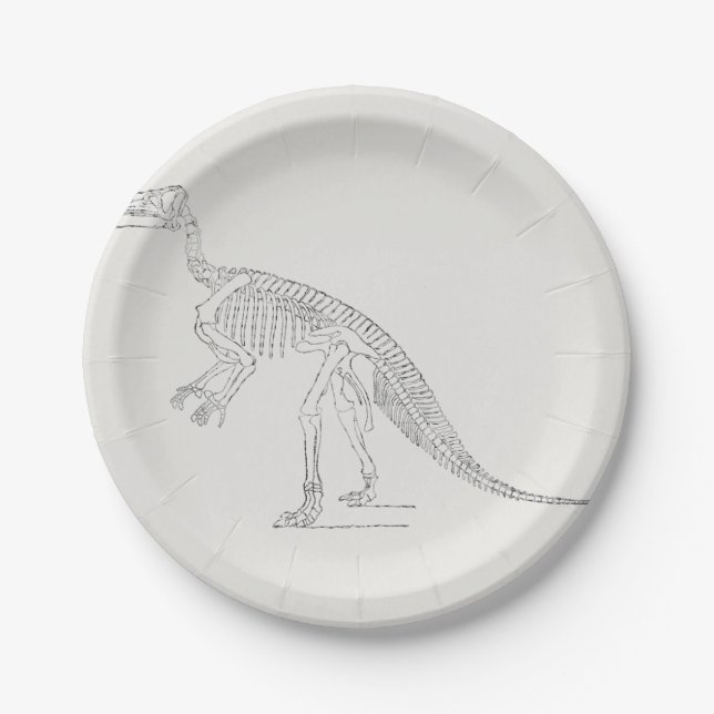 Dinosaur Skeleton Art Paper Plates (Front)